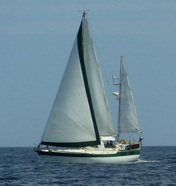 Honu Sailing